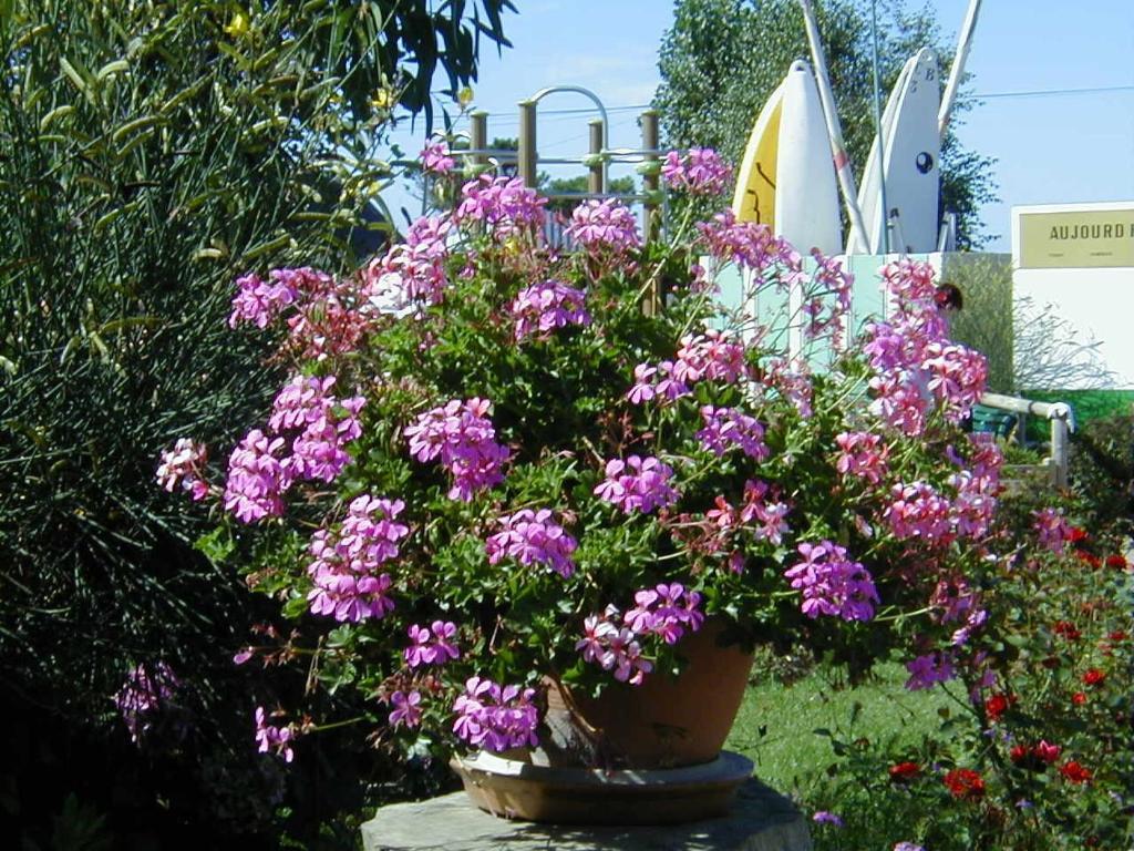 Camping De La Baie La Trinité-sur-Mer Exterior photo